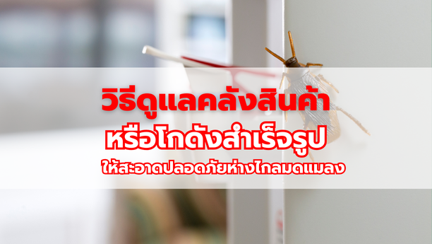 วิธีดูแลคลังสินค้า หรือโกดังสำเร็จรูป ให้สะอาดปลอดภัยห่างไกลมดแมลง