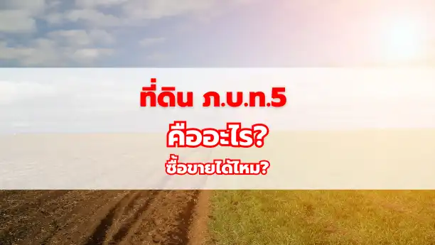 ที่ดิน ภ.บ.ท.5 คืออะไร? ซื้อขายได้ไหม?