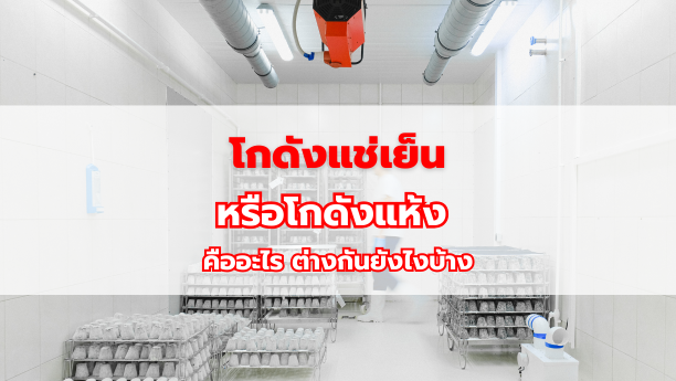 โกดังแช่เย็นหรือโกดังแห้ง คืออะไร ต่างกันยังไงบ้าง