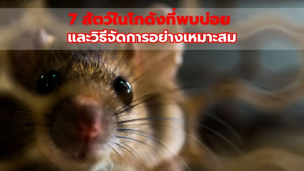 7 สัตว์ในโกดังที่พบบ่อย และวิธีจัดการอย่างเหมาะสม